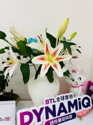 -WENDY·温迪皮肤管理