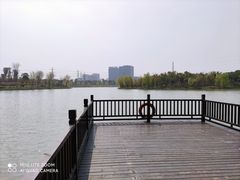 -九科绿洲