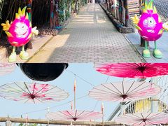 -呀路古热带植物园