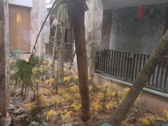 -天芳悦潭度假村温泉