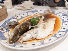 -西湖春天•老字号杭州菜(百汇店)