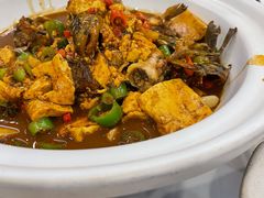 黄丫头炖豆腐-南昌饭店(西黄城根南街店)