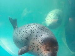 -青岛海底世界-水族馆