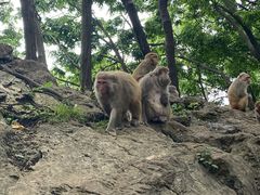 -黔灵山公园