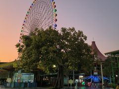 -凤岭儿童公园
