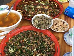 -东吴霸王兔(松青路店)