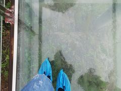 -帽儿山风景区