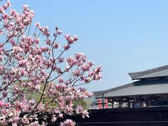 -三国水浒景区(无锡影视基地)
