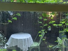 -绿房子方寸咖啡(星海名城店)
