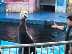 -华夏文旅海洋公园