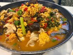 -新蜀会四川豆花(五羊店)