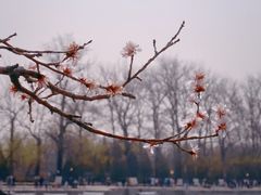 -颐和园
