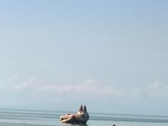-大连蚂蚁岛度假区