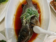 -大东海海鲜酒楼(渔人码头总店)