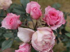 -人民公园(罗湖区)