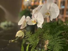 -青藤茶馆(凤起路店)
