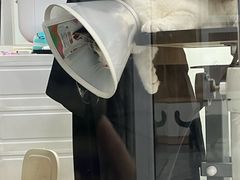 -爱洗澡的猫(天河路店)