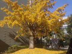 -同济大学(嘉定校区)