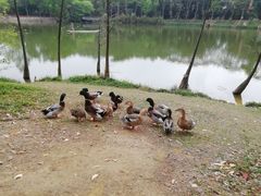 -金山植物公园