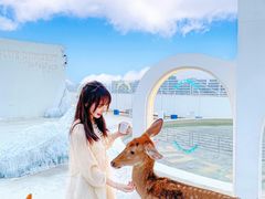 -Blue Concept Cafe&Farm·關於藍