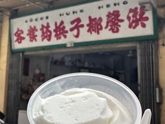 -洪馨椰子