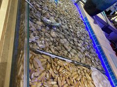 -万象·复兴号鲜肉烤肉海鲜自助(升级店)