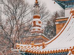 -颐和园