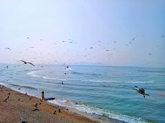 -海驴岛(荣成市)