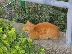 -东华大学第一食堂(松江校区店)