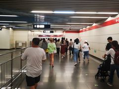 -大望路(地铁站)