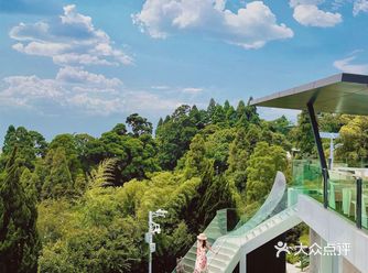 福建旅游｜住进艺术馆 在云端等日落