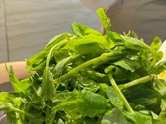 -德来順老北京 涮羊肉 烤羊排(大学城店)
