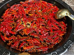 特辣牛油红锅-渝大狮毛肚老火锅(遂宁万达店)