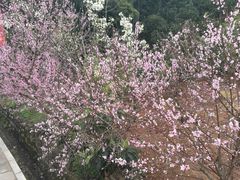 -七曲山风景区