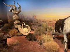 -陕西自然博物馆