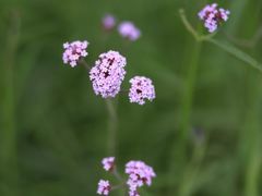 -杭州城北体育公园