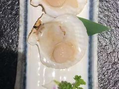 鲜活扇贝-虎焱炭火烧肉