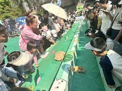 -灵玲国际马戏城