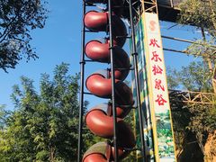 -欢乐松鼠谷