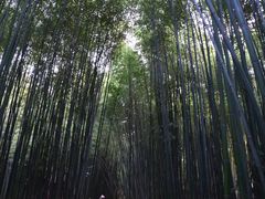 -竹泉村旅游度假区