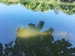 -小洲村