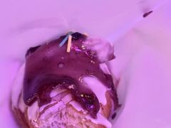 -月枫堂(长春这有山店)