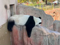 -盐城大丰港动物园