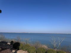 -江滩湿地公园
