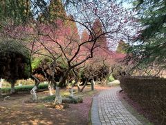 -白塘生态植物园