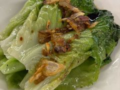 -百利鸽王(紫薇路店)