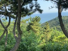 -棒棰岛宾馆景区