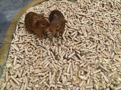 -第五极儿童乐园