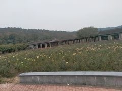 -龙寺生态园