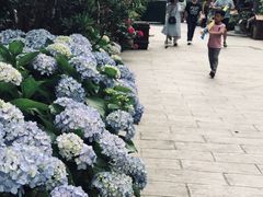 -海窝子古镇